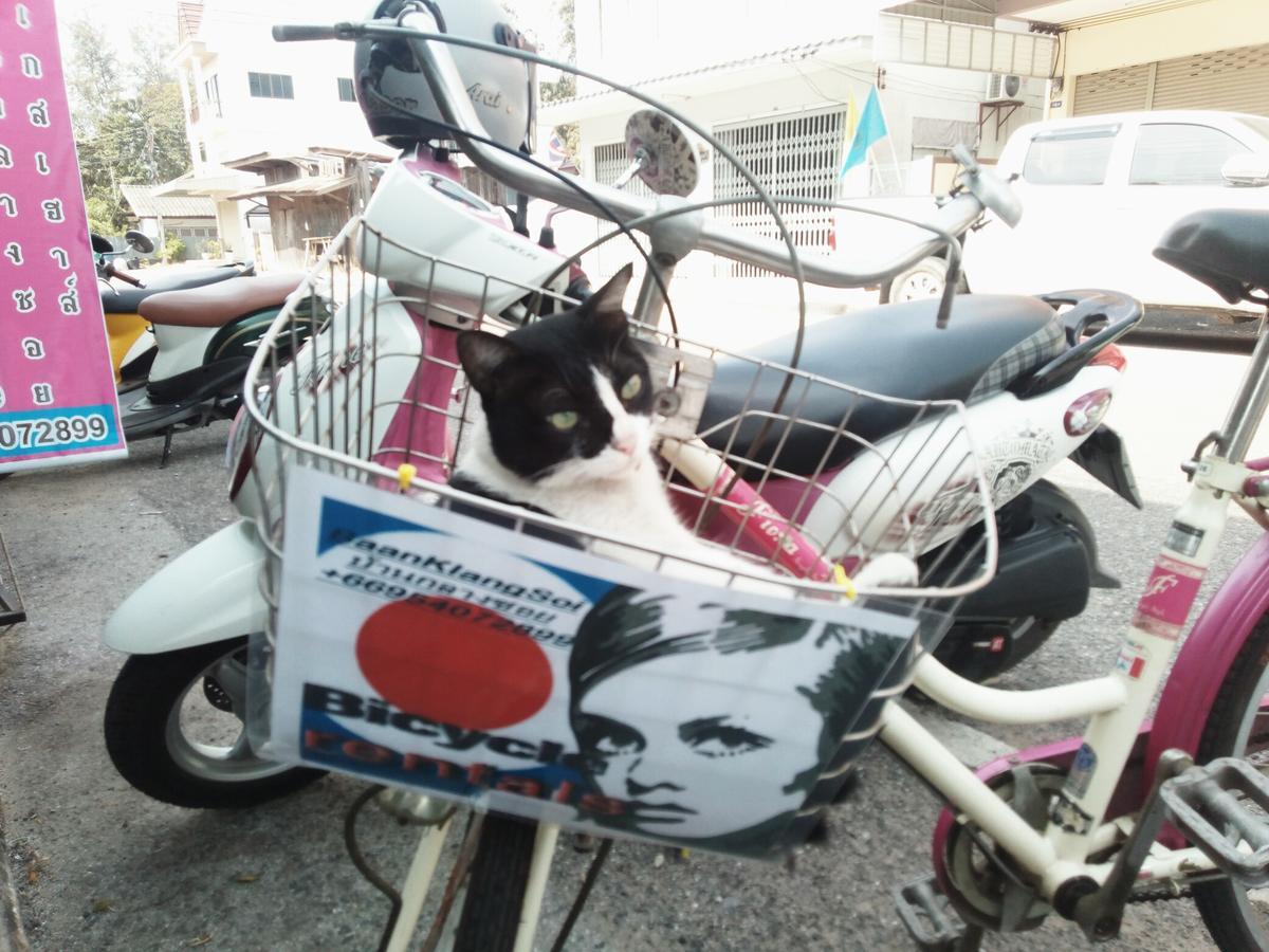 班武里府 Baan Klang Soi酒店 外观 照片